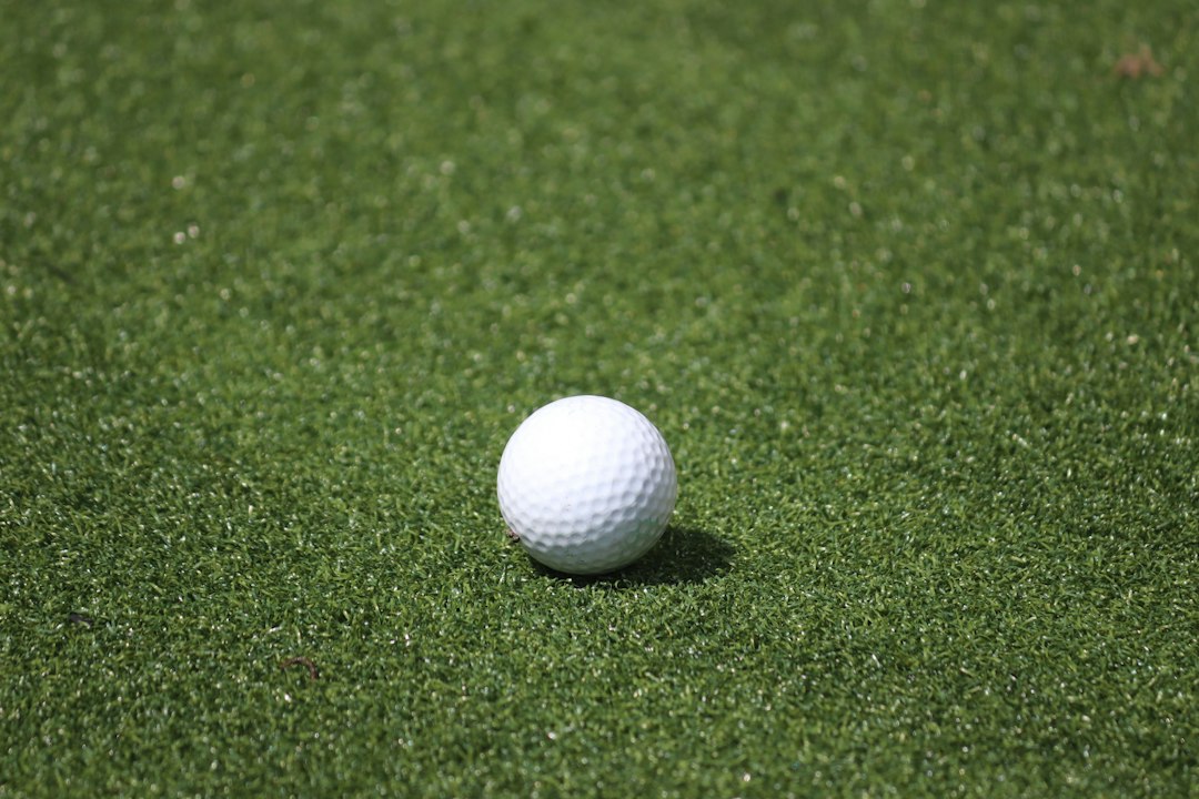 A white golf ball on green grass